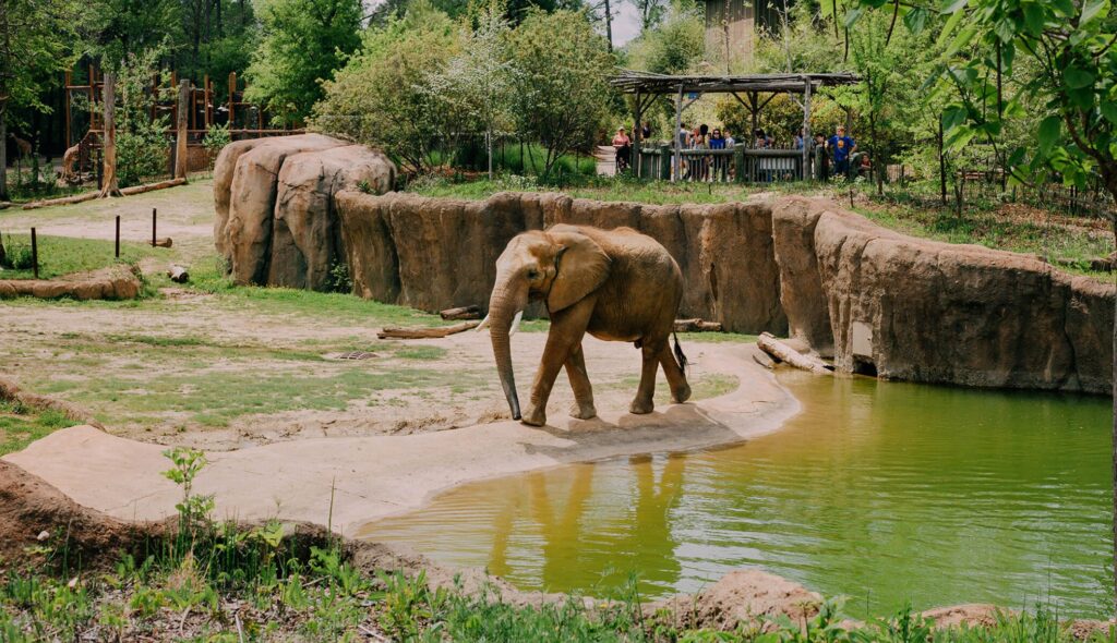 Family travel places - Birmingham Zoo