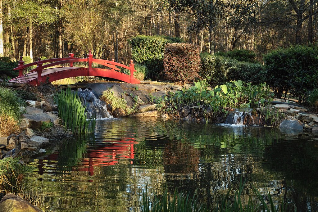 Go to the Dothan Area Botanical Gardens