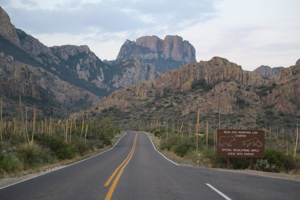 Things to Do at Big Bend National Park