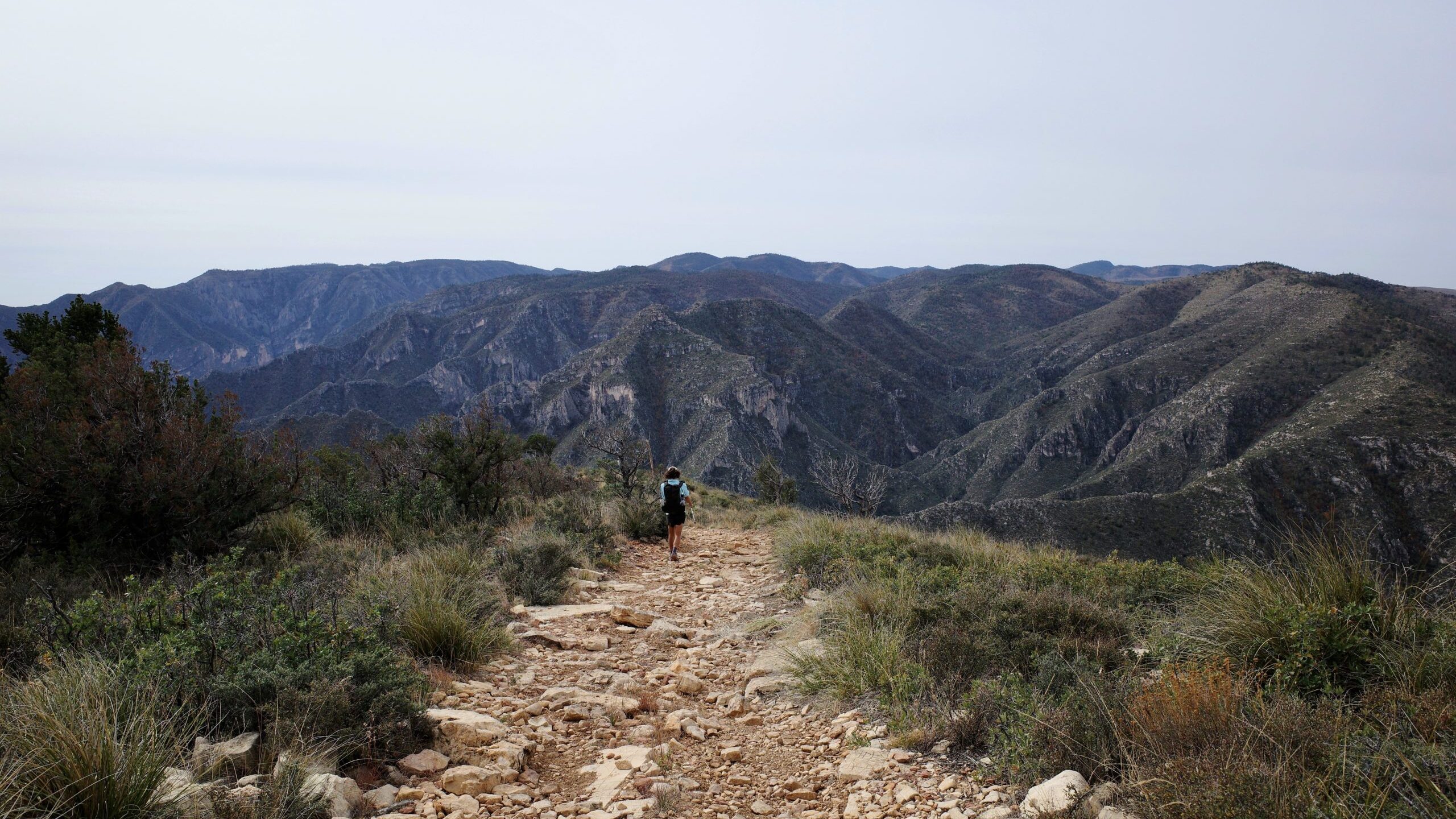 Guadalupe Ridge Trail: Guadalupe Mountains National Park