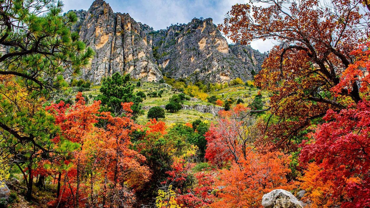 things to do in Guadalupe Mountains National Park