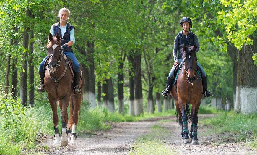 Things to do in aurora - 12 Miles Stables